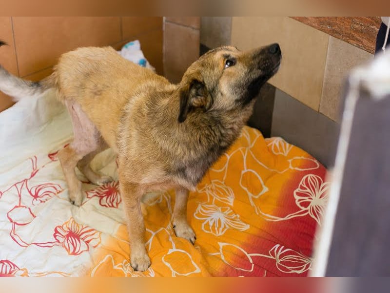 Alex – möchte voll durchstarten