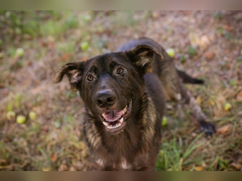 Titus: Fröhlicher Riese sucht Familie