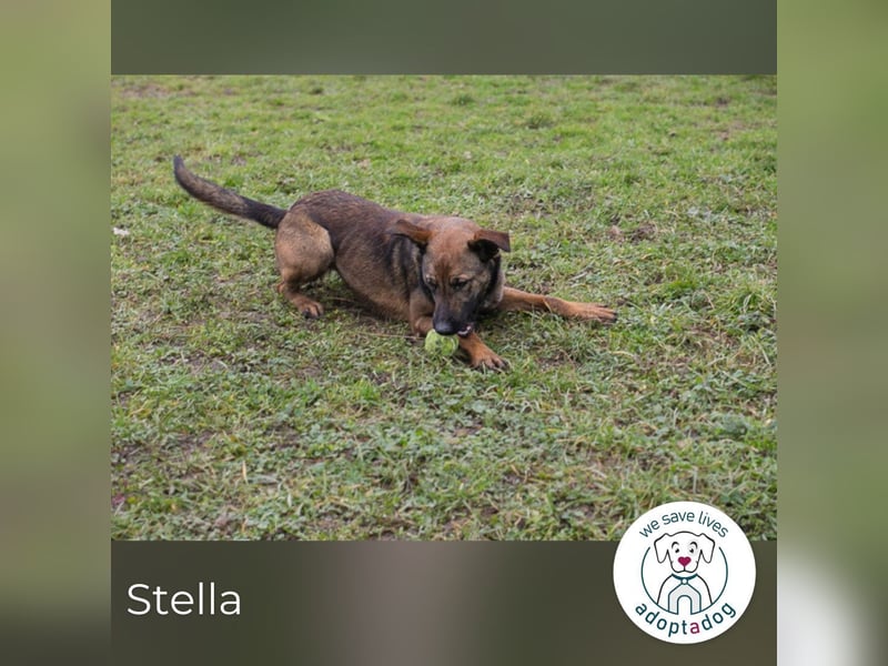 Stella möchte endlich dazugehören