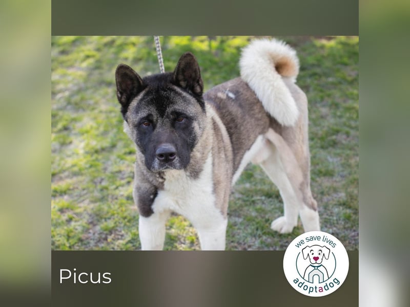 Picus Oskar: Zweite Chance fürs Leben
