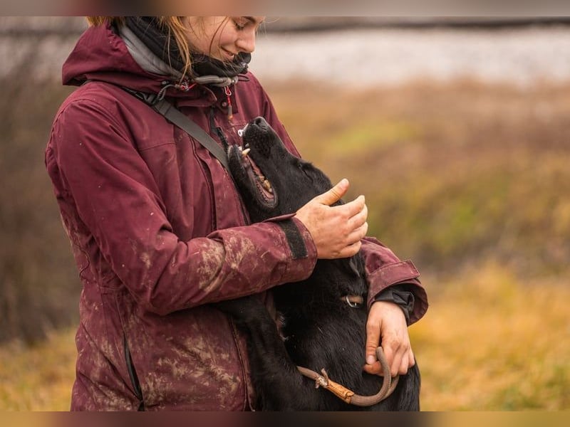 Sonja: Sonnenschein sucht Zuhause