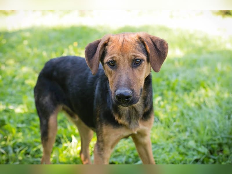 Akascha: Möchte endlich nach Hause!