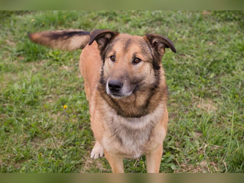 Alex – möchte voll durchstarten