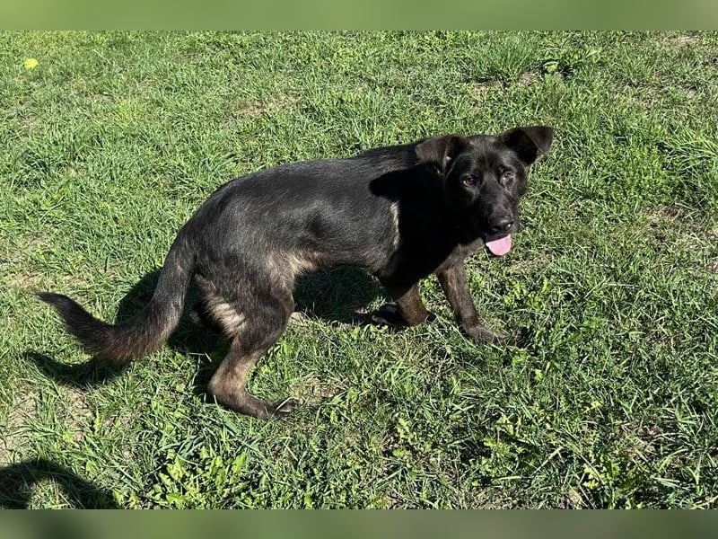 Titus: Bereit für einen Neuanfang