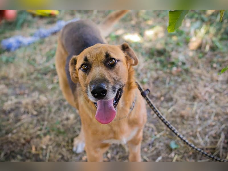 Kastner: Naturfreund mit Köpfchen