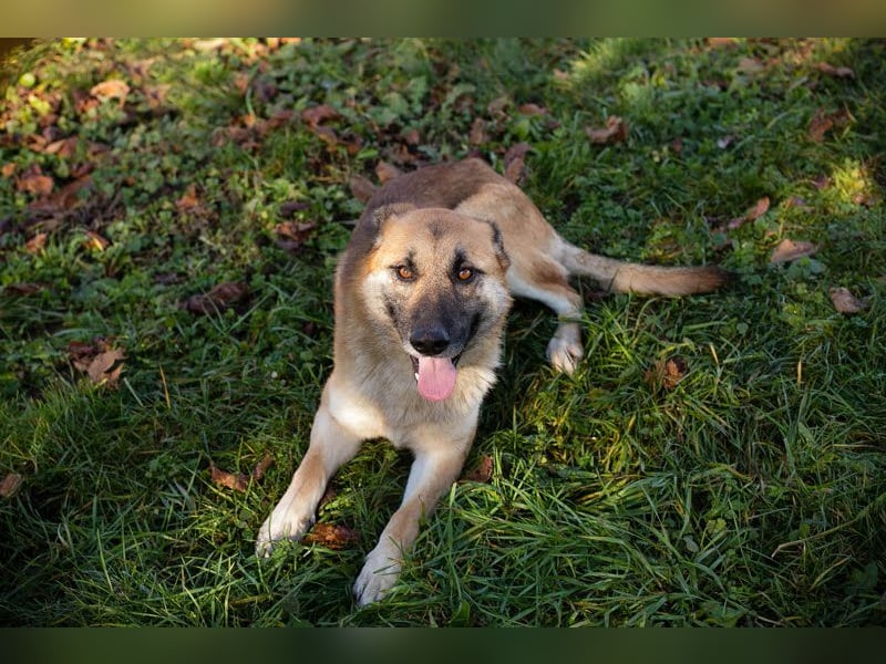 Marty sucht seine Menschen