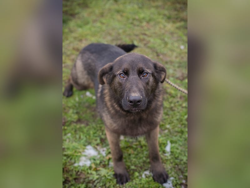 Titus: Fröhlicher Riese sucht Familie