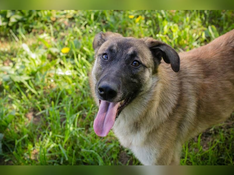 Mona: Tollpatsch mit Herz