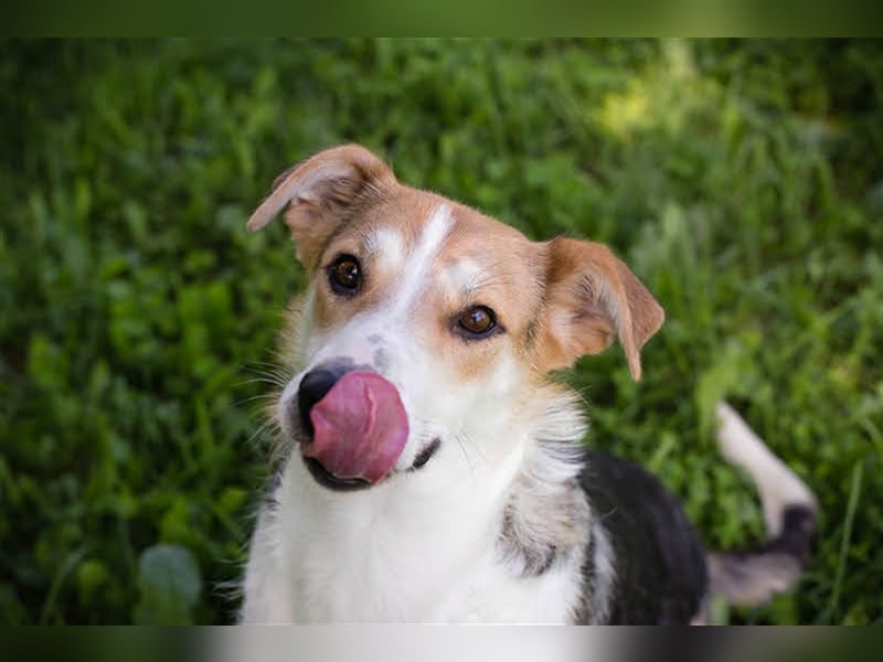 Julie – ein Goldschatz