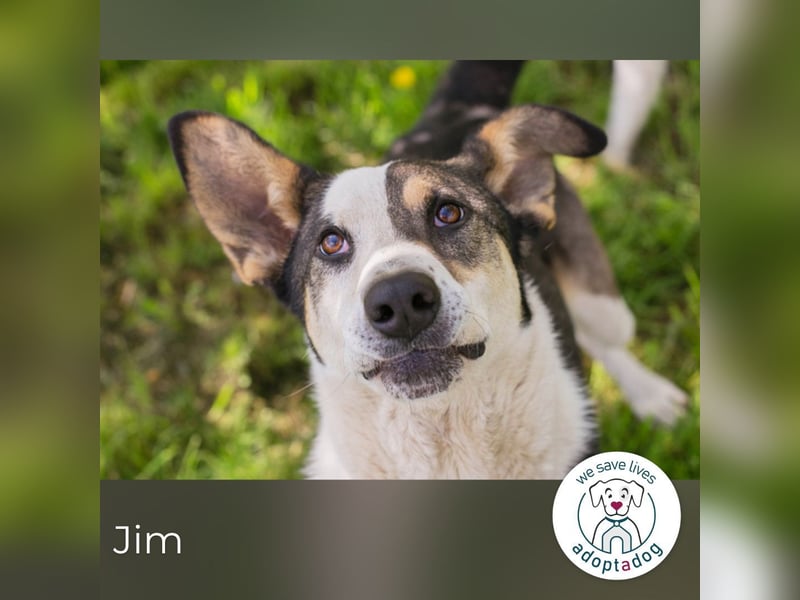 Jim: Sucht ein Abenteuer