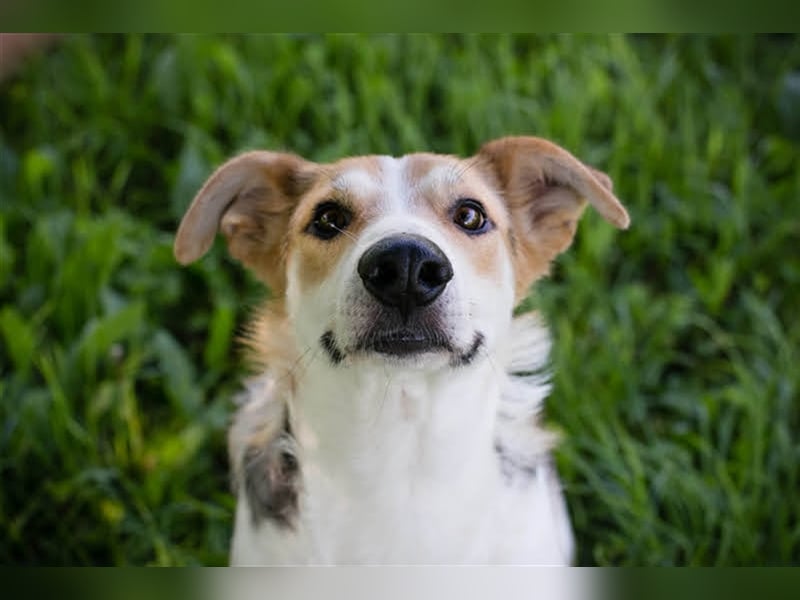 Julie – ein Goldschatz