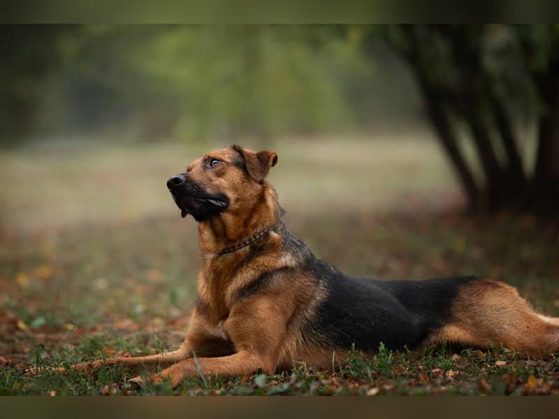 Akascha: Möchte endlich nach Hause!