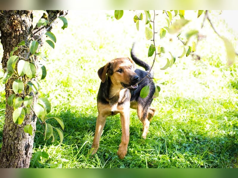 Akascha: Möchte endlich nach Hause!