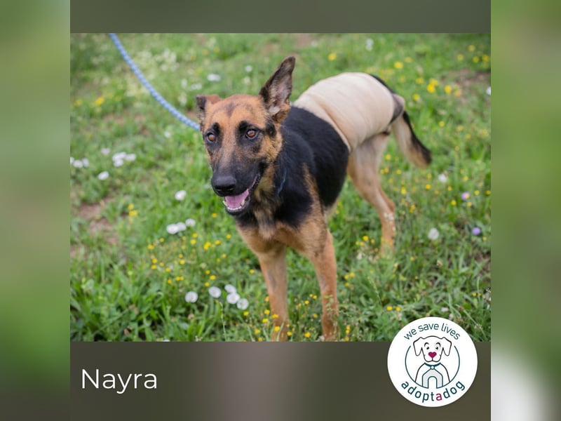 Nayra: Ein Herz auf drei Pfoten