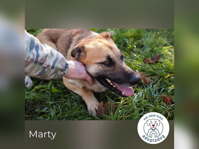 Marty sucht seine Menschen