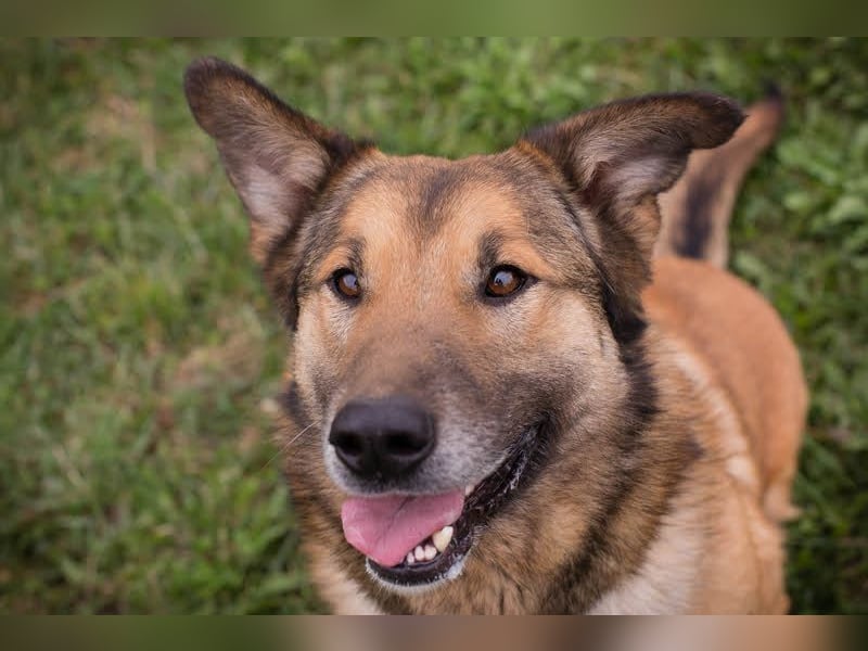 Alex – möchte voll durchstarten