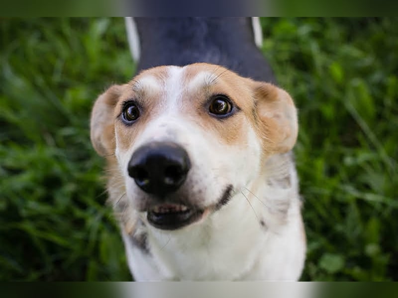 Julie – ein Goldschatz