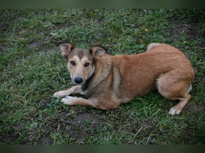 Aura: Kuschelmaus sucht Liebe