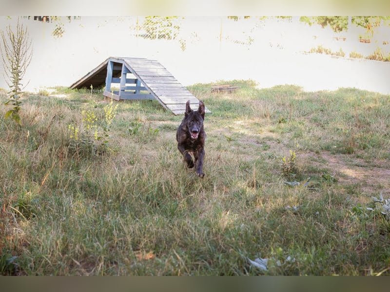 Titus: Bereit für einen Neuanfang