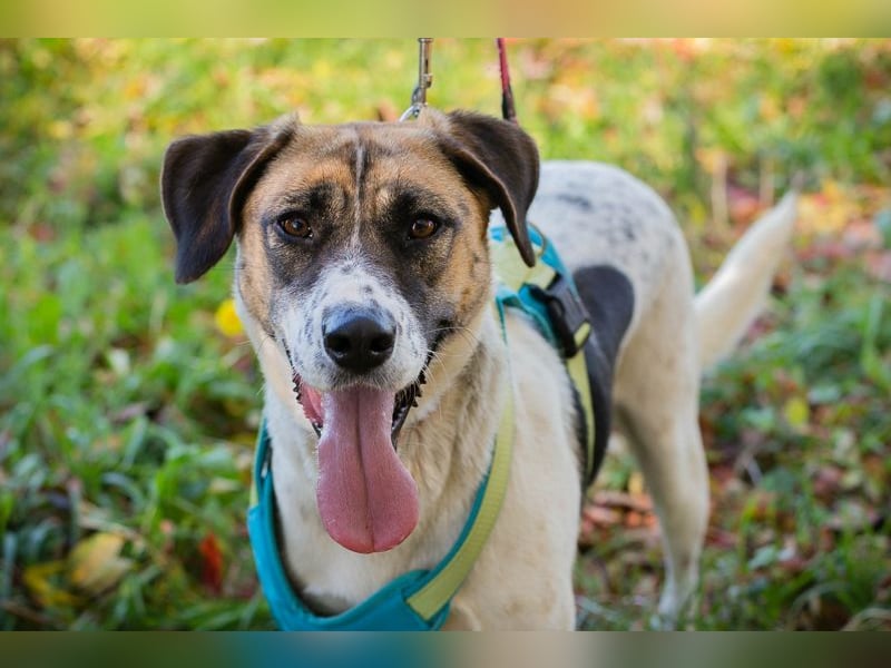 Nada ist voller Hoffnung