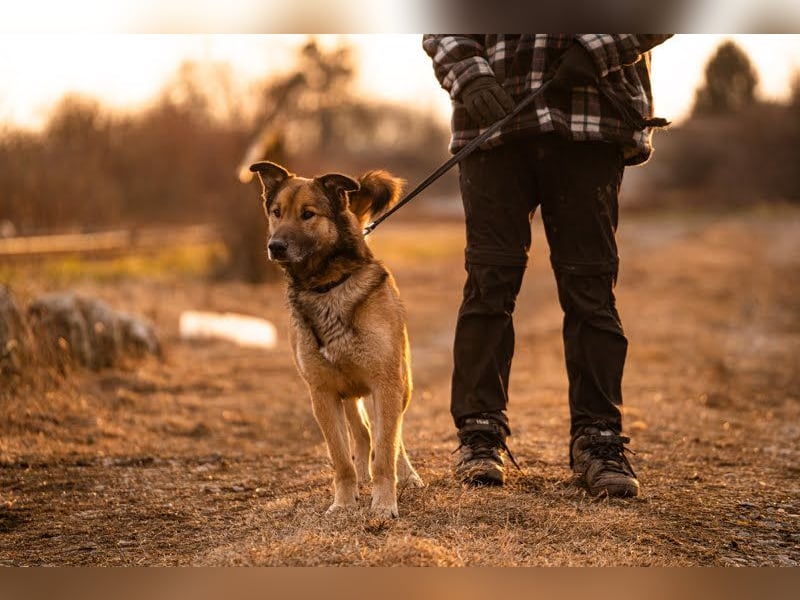Alex – möchte voll durchstarten