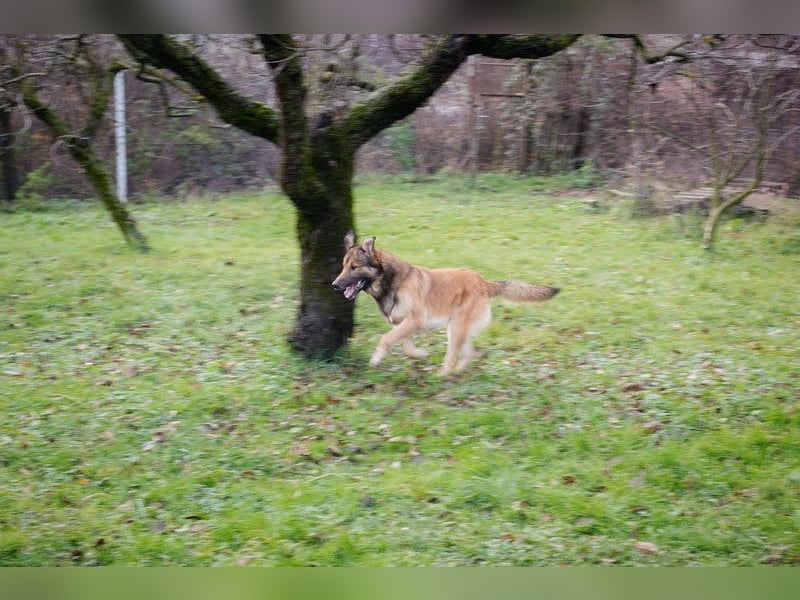 Alex – möchte voll durchstarten