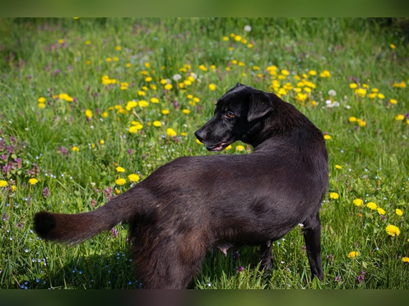 Benek: Träumt von einem Zuhause