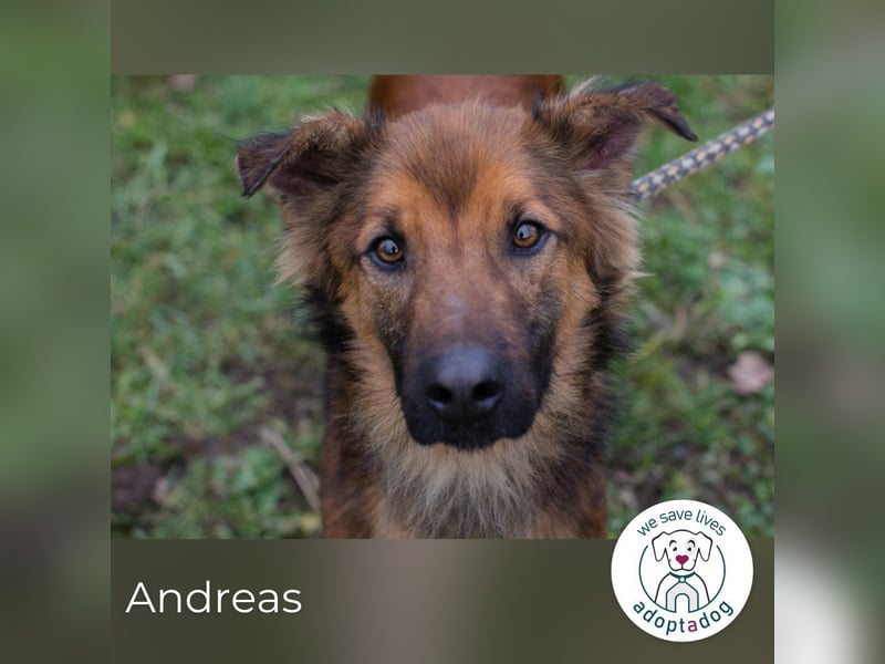 Andreas: Zwischen Stress und Sehnsucht