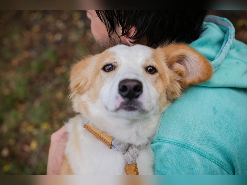 Chip 263674 sucht ein Zuhause
