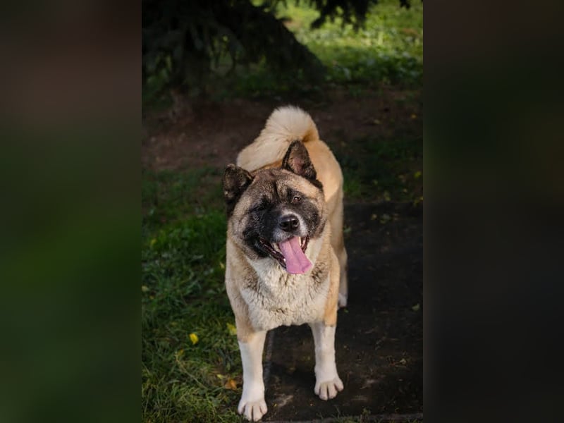 Hexe: Kämpferin mit großem Herzen