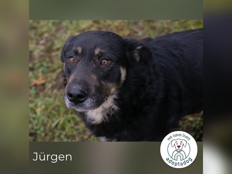 Jürgen sucht sein Glück