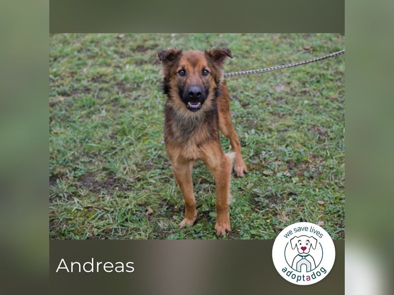 Andreas: Zwischen Stress und Sehnsucht