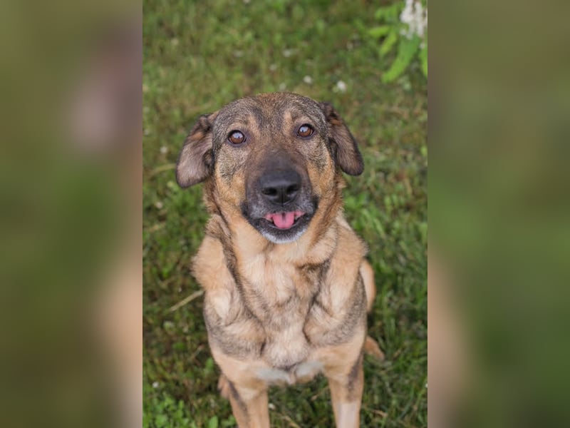 Smiley: Voller Liebe und Hoffnung