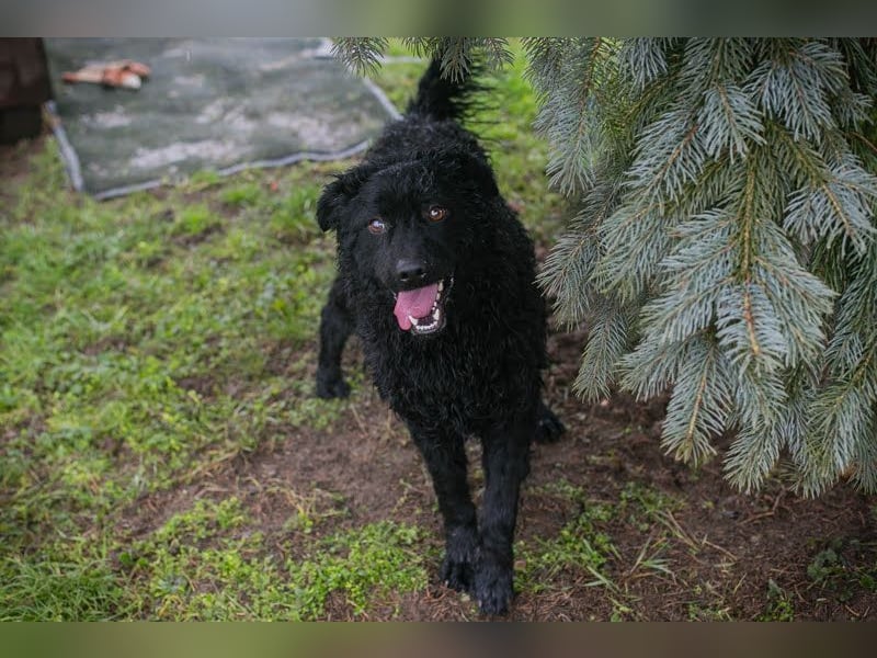 Cody: Neugieriger Wirbelwind