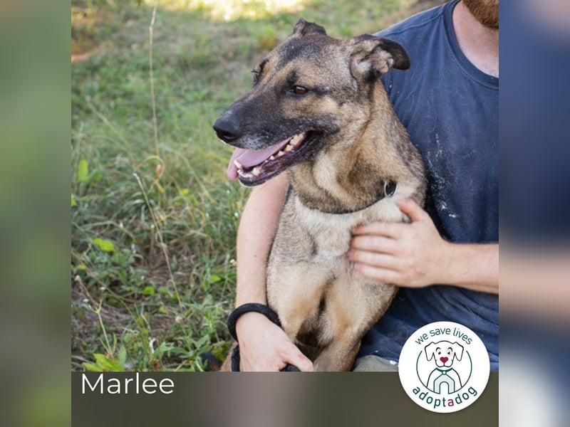 Marlee: Lebensfreude sucht Zuhause