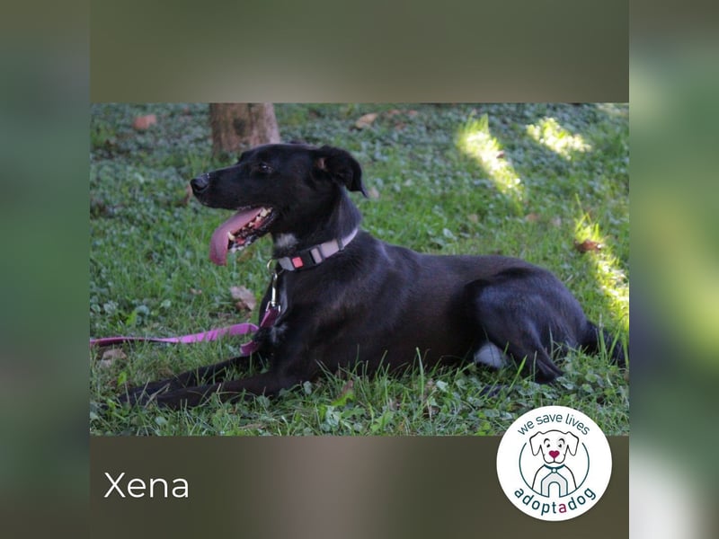 Xena: Frohnatur: verspielt, glücklich, albern und quirlig