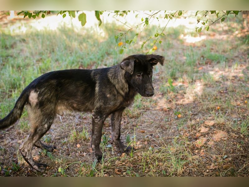 Titus: Bereit für einen Neuanfang