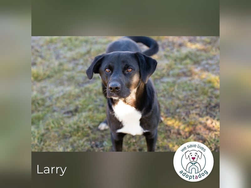 Larry: Sportskanone sucht Gleichgesinnte Larry: Sportskanone sucht Gleichgesinnte