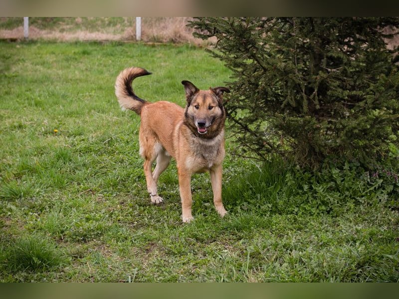 Alex – möchte voll durchstarten