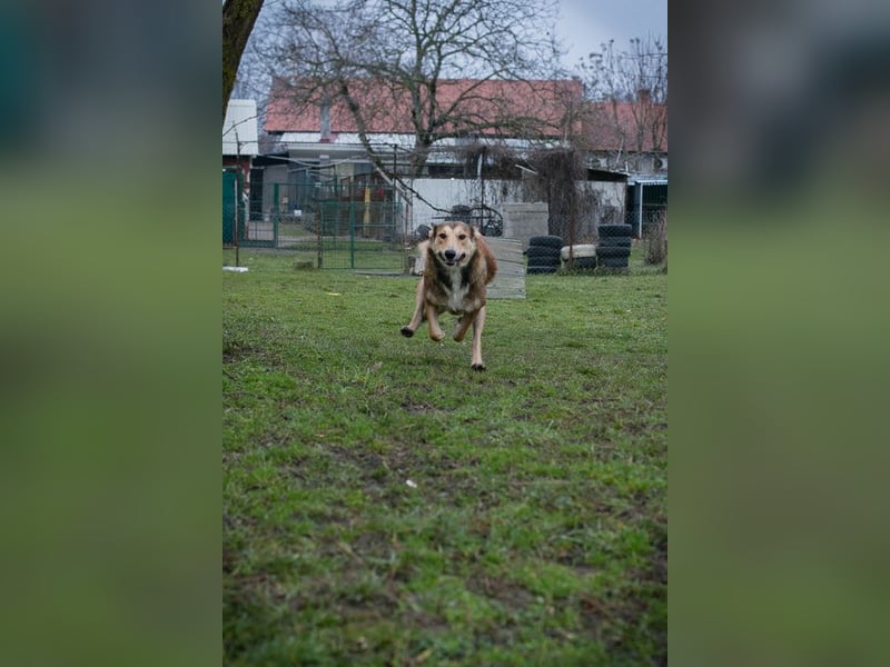 Aura: Kuschelmaus sucht Liebe