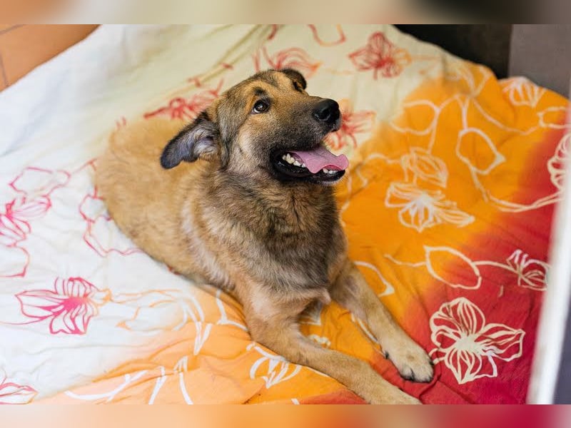 Alex – möchte voll durchstarten