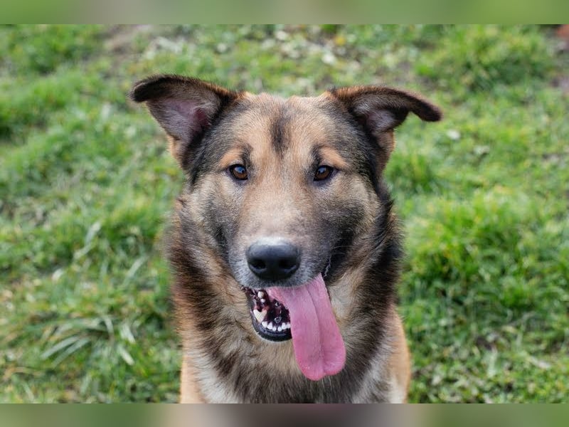 Alex – möchte voll durchstarten