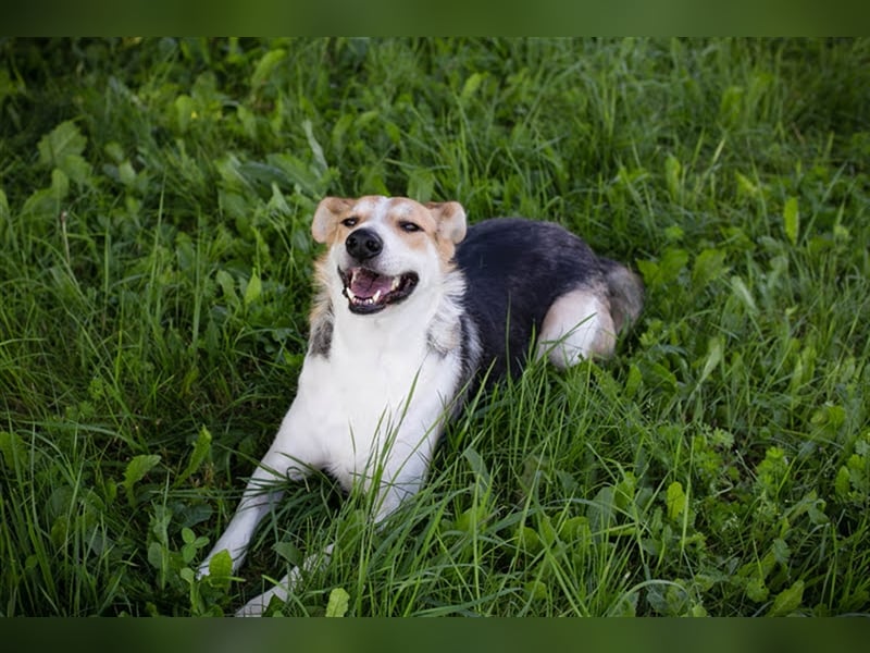 Julie – ein Goldschatz