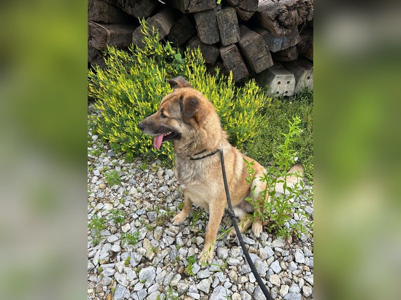 Alex – möchte voll durchstarten