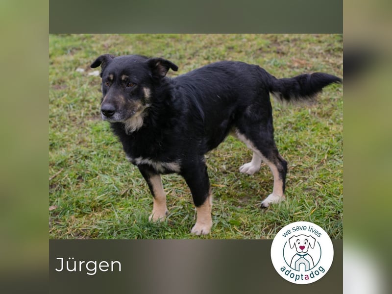 Jürgen sucht sein Glück