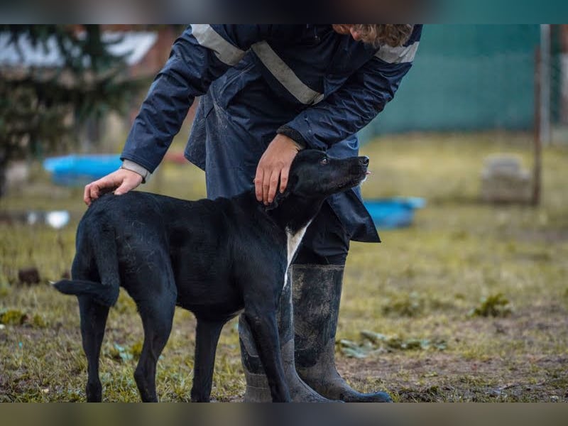 Larry: Sportskanone sucht Gleichgesinnte Larry: Sportskanone sucht Gleichgesinnte
