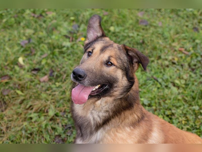 Alex – möchte voll durchstarten