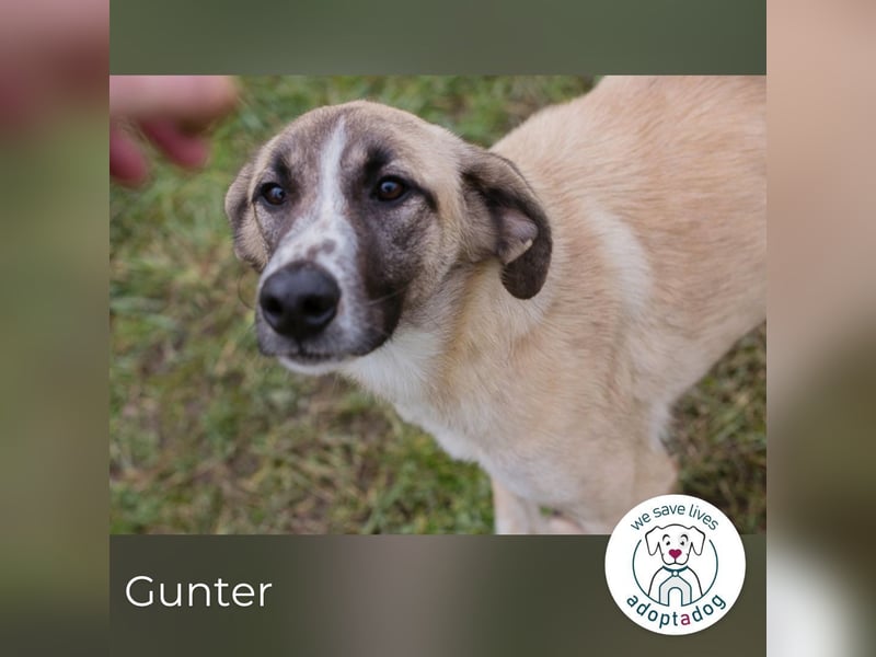 Gunter: Zarte Seele sucht Ruhe