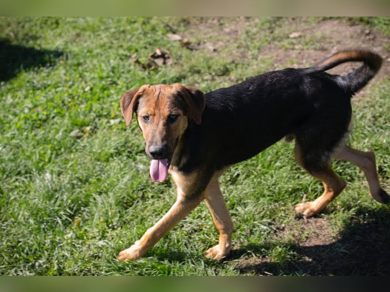 Akascha: Möchte endlich nach Hause!