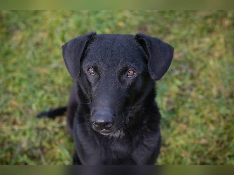 Cassius – Gern im Team unterwegs